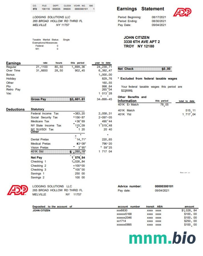 USA ADP business corporate earnings statement szablon w formacie excel pdf